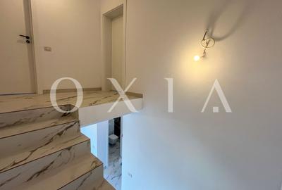 SX676 Mosnita Veche - Padurea Bistra - Disponibil Imediat - 10