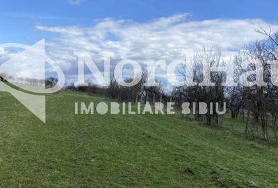 Teren Extravilan Rasinari 3500 mp - Zona deosebita - 1