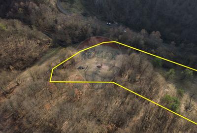 Poiană pentru cabana de vanzare intravilan Coas - 2