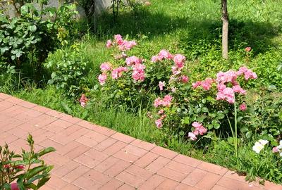 Casă P+M 248 mp | 6 Camere,Teren 1250 mp | Sistem Fotovoltaic + Eolian Prunaru - 4