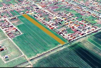 Teren intravilan de vânzare | Zimandcuz,  Arad | 7.317 mp | Comision 0 - 1