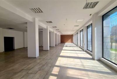Spatiu SAD de vanzare, Bdul Liviu Rebreanu, COMISION 0 - 5
