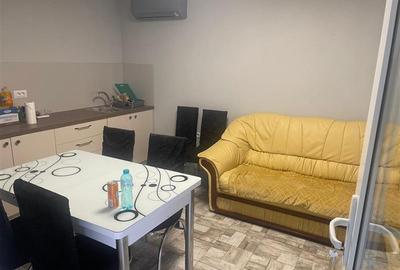 Depozit nou, orice activitate, posibil frigorific, Dumbravemi, Suceava - 7