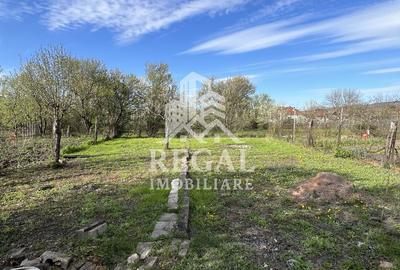 Casă de vânzare în Călanul Mic –  2 clădiri, curte, grădină, garaj - 17