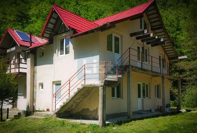 Casa de vacanta perfecta pe malul Cernei - 3