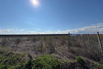 Teren intravilan 700mp in zona de Nord de vanzare - 5