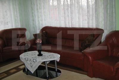 Casa individuala, 546 mp, 8 camere, 2 garaje, 2096 mp teren, Feleacu - 6