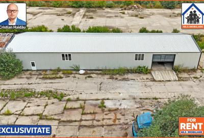 HALA noua | 480mp   700mp parcare | Toate utilitatile | Giurgiu Nord - 3