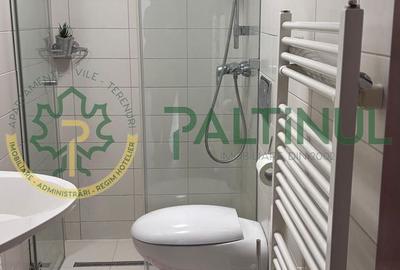 Apartament de închiriat la casa, zona centrala Sibiu, Bdul Victoriei, garaj - 13