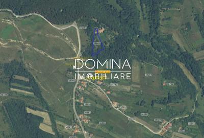 Teren generos 4790 mp + casă tradițională, în loc. Mușetești - 3
