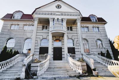 Resedinta de prestigiu in Iancu Nicolae | Vila 20 incaperi | Teren 2600mp - 13