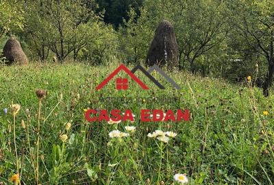 Teren extravilan in Brebu(Pietriceaua)--9104mp--50.000e - 9