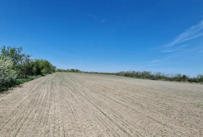 Peris langa raul Ialomita teren 10250 mp intravilan deschidere 46 ml - 2