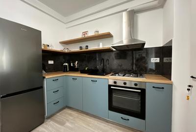 Apartament de inchiriat, o camera, Open space, 35 mp, Lunca Cetatuii - 11