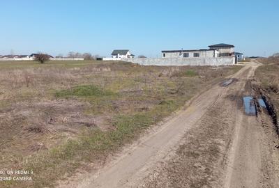 Teren  intravilan 465mp Str Lebedelor Comuna Berceni - 5