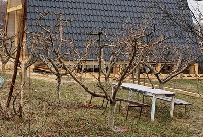 Casă individuală cu 3 camere în Baisa