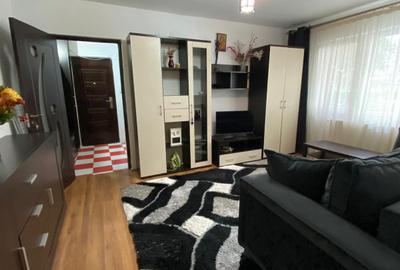 Apartament 2 camere parter mobilat si utilat,centrala, Alecu Russo - 2