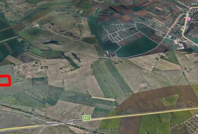 Teren agricol extravilan Sura Mare- 5000 mp - 1