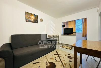 Apartament 1 camera zona Micalaca - 1