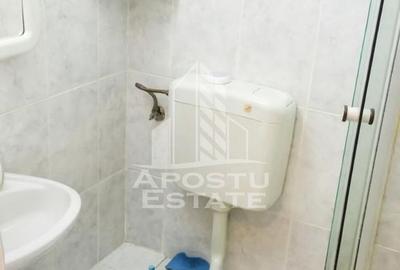 Garsoniera de inchiriat, Lipovei, Timisoara - 5