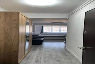 Apartament 1 cameră capăt Păcurari - 3