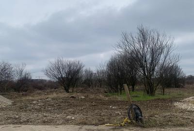 Voluntari   Matei Millo  Pipera  Vanzare  teren  intravilan - 12