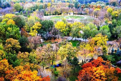 Apartament de inchiriat cu vedere panoramica in zona Baba Novac - 1