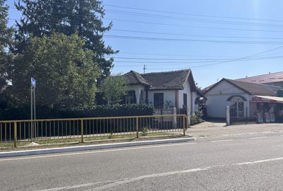 Popas La Doi Brazi - magazine, bar, terasă, casă boierească, grădină și piscină - 4