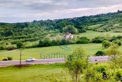 Teren de vanzare, la iesirea din Baile Felix, Bihor - 1