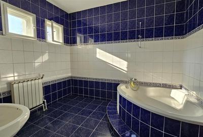 Casa 690mp Zorilor - Sigmapretabil BIROU/SEDIU FIRMA/ACTIV.EDUCATIONALE - 7