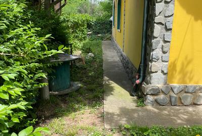 Casa 8 Camere Snagov - 5