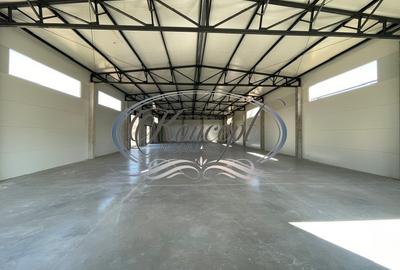 Spațiu industrial, 599.75 mp în Baciu