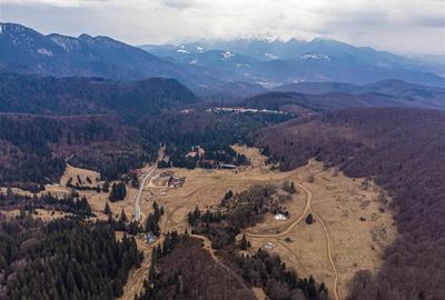 Teren Intravilan 6500 MP- Valea Poienii Aviatorilor ,Aproape de Poiana Brasov si - 7
