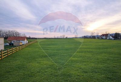 Teren de vanzare 4000 de mp Vintu de jos - 1