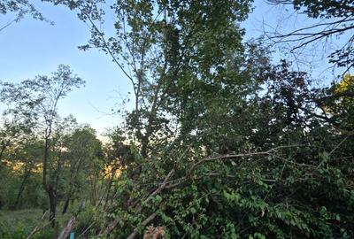 Moreni , Dambovita , vanzare proprietate -casa si teren - 2