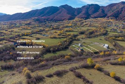 Teren intravilan 5723mp Zarnesti Tohanita- case de vacanta,investitie in turism - 1