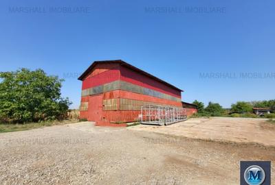 Spațiu industrial, 600 mp în Sud-Vest