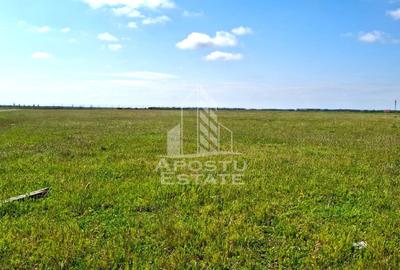 Teren Intravilan cu PUZ, ideala pentru Dezvoltatori - 1