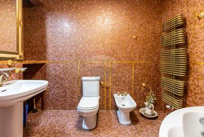 Casa/Vila Premium de vanzare Lacul Snagov / ponton / piscina / barca - 10