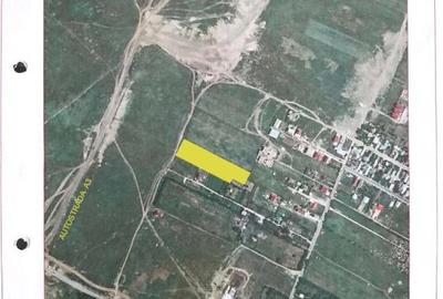 Voluntari, str. Matei Millo, 7600 mp - 1