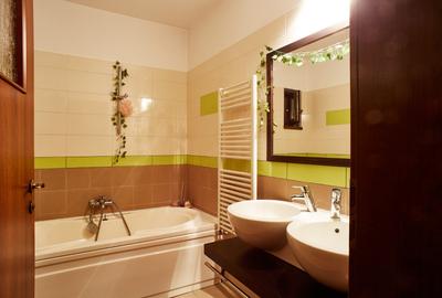 Reprezentare exclusivă · Casa dintre magnolii, Făget · 1.343 mp lângă pădure - 21