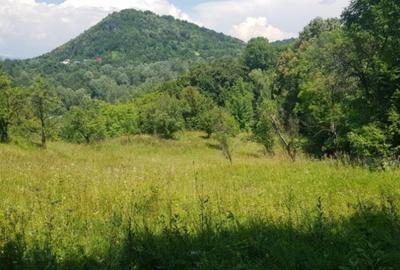 VANZARE TEREN  SAT DOFTANA COM.TELEGA - 8