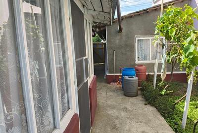 Casa 4 camere, Radu Negru - Buzaului, Teren - 264 mp - 9
