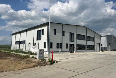 Spatiu industrial depozitare/servicii in Zona Lugojului – Aeroport - 2