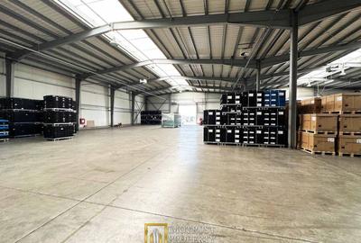 De Inchiriat Hala industria- PREMIUM – 720 mp, Arad | Doc, rampă TIR - 1