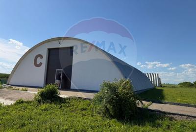 4 HALE INDUSTRIALE INDIVIDUALE SUPRAFATA TOTALA 1.407 mp, Acces DN 1 - 8