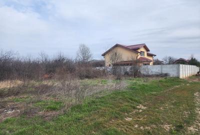 Teren intravilan Jilava Soseaua de Centura - 6