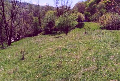 Teren de vis la munte – 7.795 mp – construibil – pârâu, pădure, fără vecini - 5