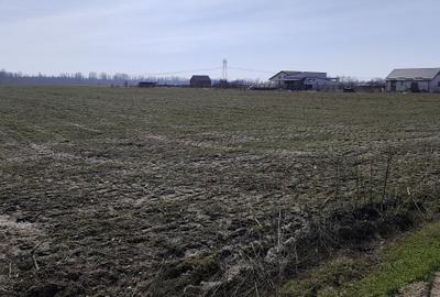 FARA COMISIOANE in Sabareni teren in suprafata de 23200mp gaze curent la teren - 7