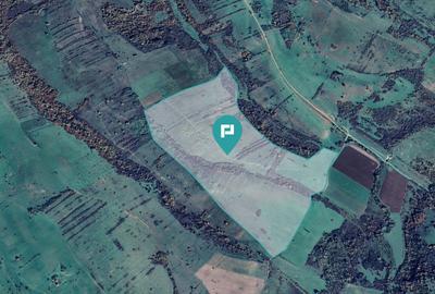 Teren arabil de 87 hectare în Bara, Timiș - 6